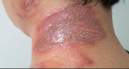 Posnetek zaslona 2026-04-15 070515